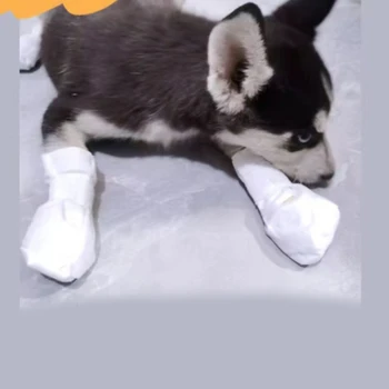 Câine De Companie Unică Folosință Papuceii Catelus Pantofi Laba Protector Folie De Coeziune Curea Laba Protectii Respirabil Pânză