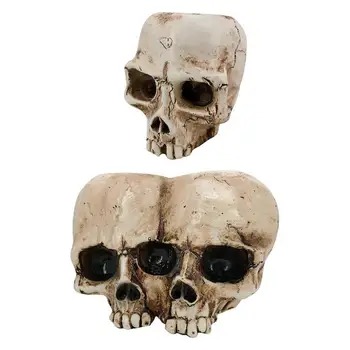 Rasina De Artizanat Dinte Uman Craniu Fosile De Predare Model De Schelet Halloween Biroul De Acasă Ghiveci Ghiveci Craniu Oală Decor